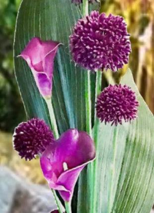 Faux Floral Arrangement  in Plum Purple Calla Lily, Hydrangeas, Mansion Avenue image 3